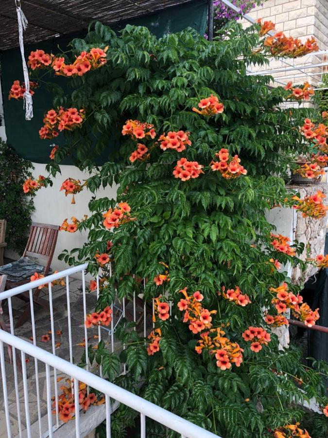 Cozy New Flat For 2 Or 3 Apartamento Hvar Town Exterior foto