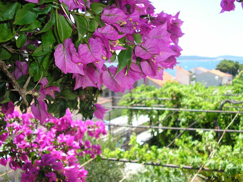 Cozy New Flat For 2 Or 3 Apartamento Hvar Town Exterior foto