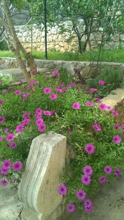 Cozy New Flat For 2 Or 3 Apartamento Hvar Town Exterior foto